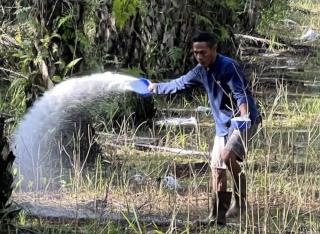 Harga Pupuk Mahal, Petani Sawit Merasa Ditinggalkan Pemerintah