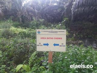 PTPN IV Jambi Dinilai Tak Konsisten Soal Ini 