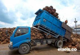 Alamak, Harga TBS Kelapa Sawit di Mukomuko Kembali Turun