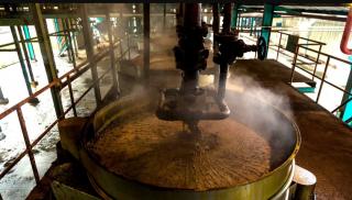 Harga CPO Merosot Pasca Lebaran, Petani Sawit di Bengkulu Ikut Terdampak