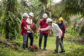 Pekebun Swadaya Binaan SSMS dan Ecogreen Terima Insentif RSPO Rp 762 Juta