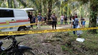 Gara-gara Brondolan, Pria di Rohul Tewas Digorok Temannya