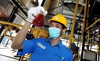 Nilai Dolar Menguat, Harga CPO Malah Melempem