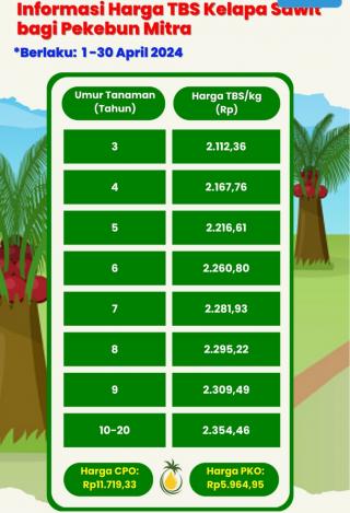 April 2024, Harga TBS Sawit di Kaltara Makin Menggiurkan