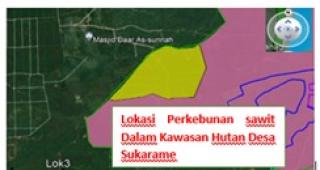 Skema PPTPKH Diharapkan Percepat Penyelesaian Kebun Sawit Rakyat di Kawasan Hutan