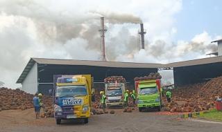 Harga CPO Naik, Harga TBS Kelapa Sawit di Mukomuko Malah Turun