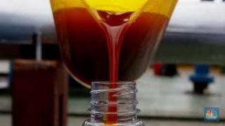 Harga CPO Naik Rp 113, 