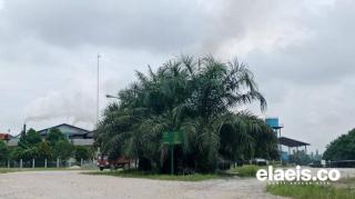 Cerita PKS Komersil di Tiga Provinsi