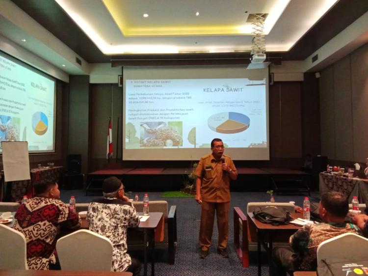 Harga Kakao Melejit, Petani Sawit di Daerah Ini Mulai Tergoda