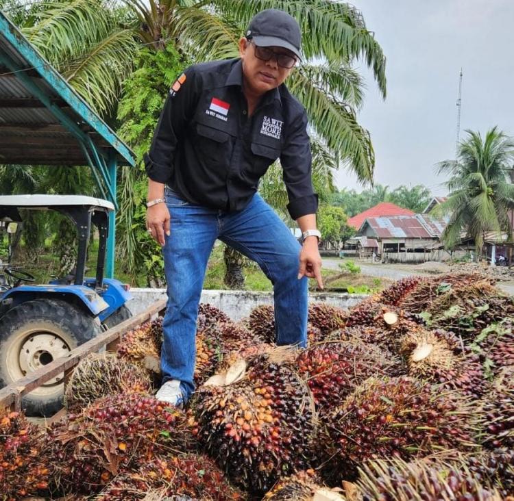 Anjlok Lagi, Harga Sawit di Sumbar Hanya Rp2.876,40/Kg