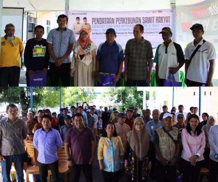 Pentingnya STDB Disosialisasikan Kepada Pekebun Sawit dan Petugas Lapangan