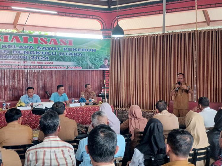 Dorong Petani Ikut Program Replanting Sawit
