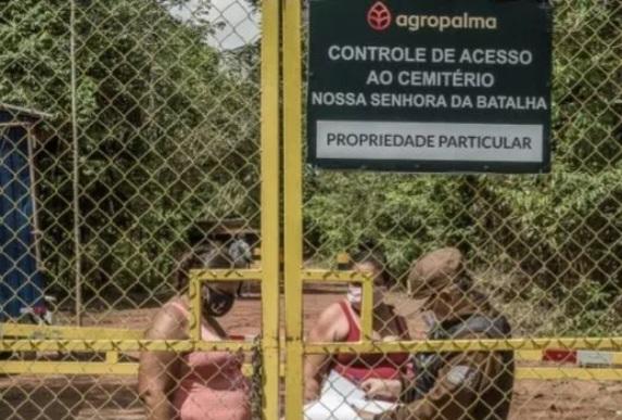 Masyarakat Adat di Timur Amazon Brazil Tuding Perusahaan Sawit Rampas Lahan