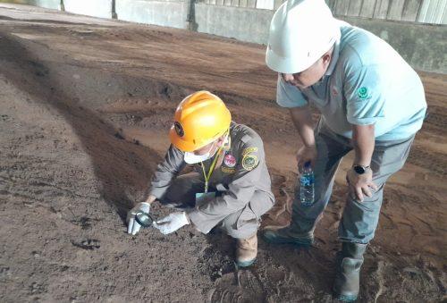 Diekspor ke Vietnam, 2.730 Ton Bungkil Sawit Diperiksa Karantina