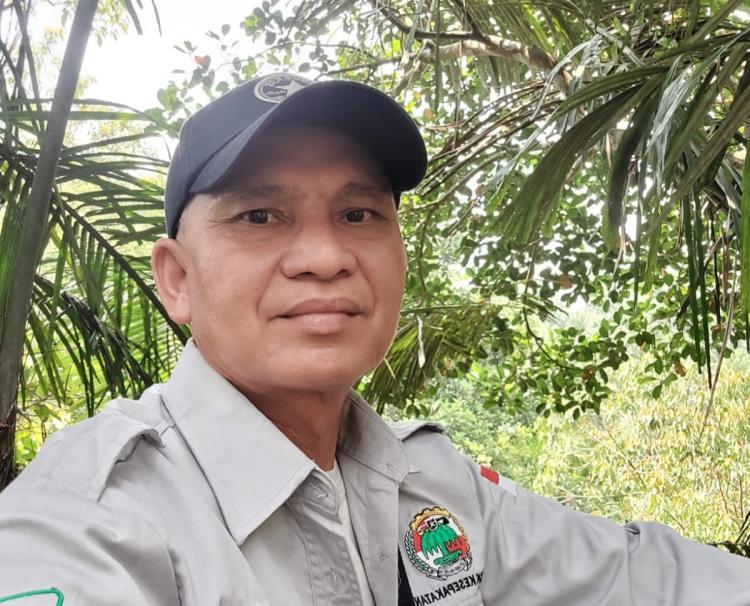 Revisi ISPO Hanya Sekedar Angin Surga