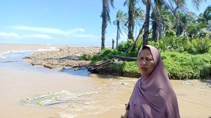 Kebun Sawit di Bengkulu Terancam Abrasi