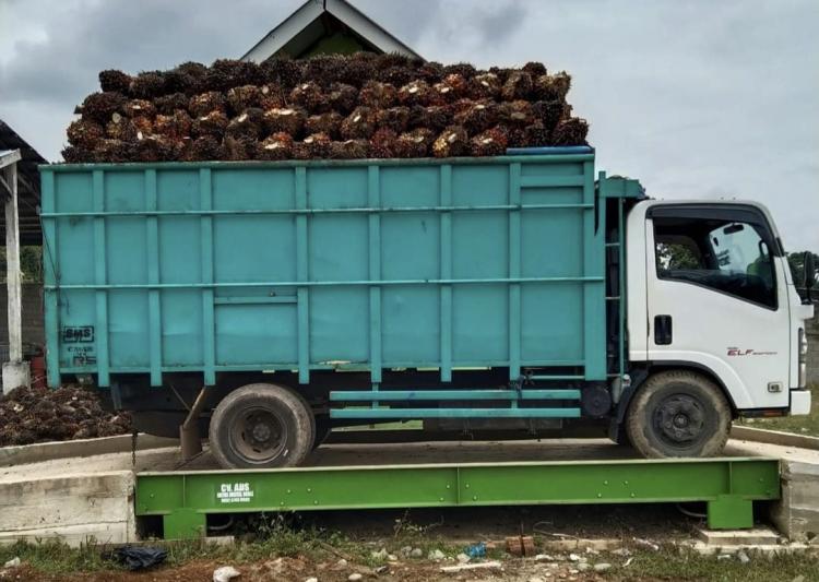 Banyak RAM Sawit Tidak Mengantongi Izin Usaha