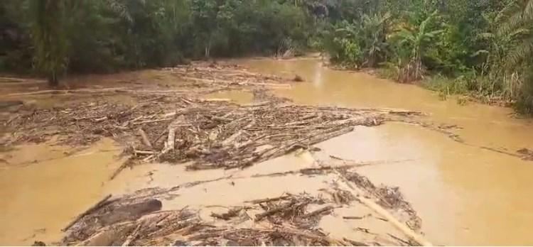 Perusahaan Sawit di Aceh Ini Jadi Sorotan dari Dalam dan Luar Negeri