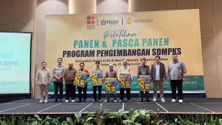 Petani Sawit Sumsel Dilatih Tingkatkan Kualitas Hasil Panen