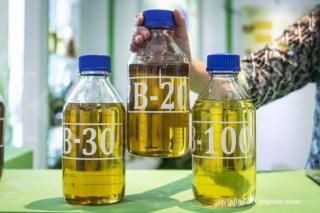Segini Harga Biodiesel Sawit untuk Periode Bulan Mei 2024