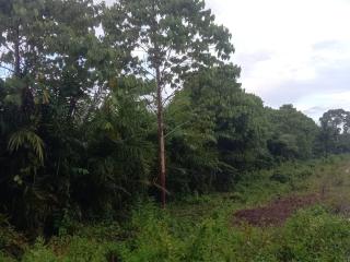 Pihak Berwenang Didesak Serius Usut PSR Mangkrak di Keerom