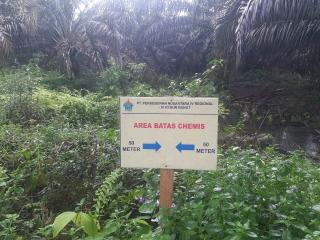 PTPN IV Jambi Dianggap Menyalahi Aturan, Tanaman Sawit Kena