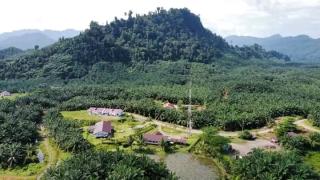 Meski Sudah Kantongi ISPO, Perusahaan Sawit di Sulbar Tetap Dimonitor