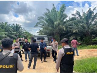 Triwulan I 2024, Sektor Perkebunan di Sulbar Tumbuh 3,68 Persen