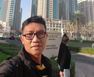 Benarkah Ada Benih Sawit Kebal Ganoderma? Begini Kata Ahlinya