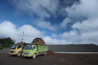 Naik Tipis Harga TBS Mitra Plasma Jambi Periode 17-23 Mei 2024