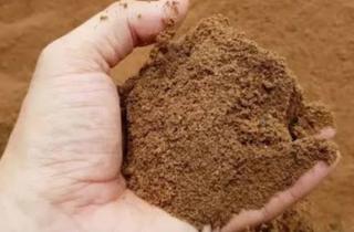 Bungkil Sawit Harus Untuk Mensejahterakan Peternak Lokal 