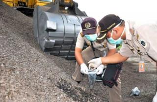 Harga Cangkang Sawit Swadaya di Riau Lebih Mahal Dibanding Plasma