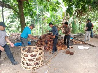 Pencuri dan Penadah TBS Sawit Curian Tertangkap Tangan Saat Transaksi