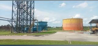 Pabrik ini Cuma Dapat 2 Truk TBS Sawit dari Masyarakat, Ada Apa?