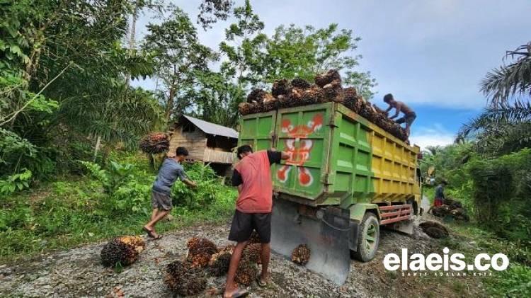 Haruskah kemitraan diwajibkan?