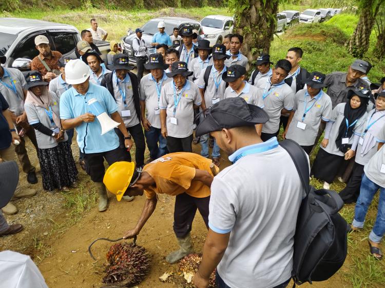 89 Petani Sawit Swadaya dari Dua Kabupaten di Aceh Sukses Ikuti Pelatihan BPDPKS, Ditjenbun, dan IPB Training
