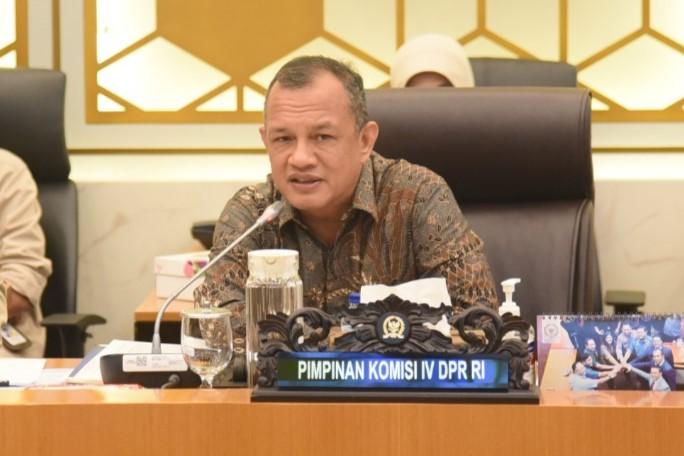 Suku Awyu dan Moi di Papua Tolak Kebun Sawit, Budhy: Ada Miskomunikasi