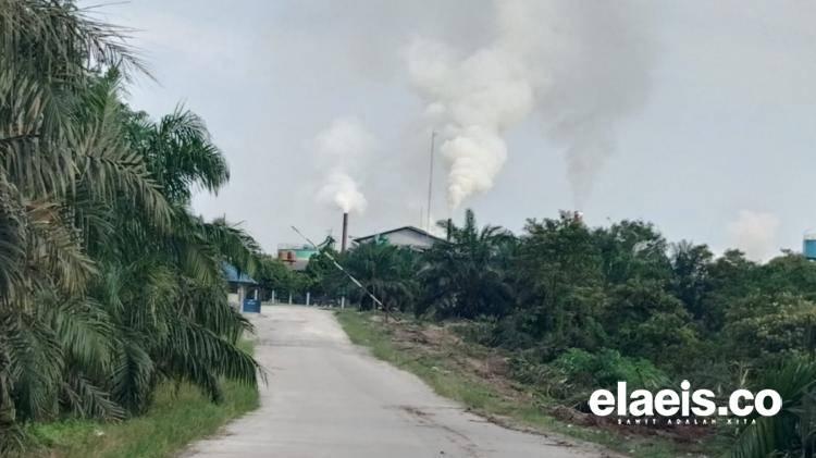 Gaduh Pabrik Kelapa Sawit