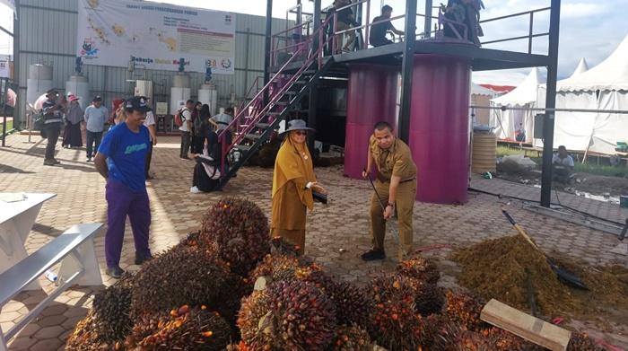 Launching Agustus, Pabrik Mini Minyak Goreng di Kuansing Ditargetkan Beroperasi September