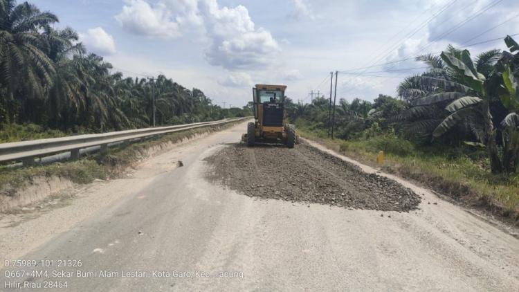 DBH Sawit Sangat Dibutuhkan untuk Perbaiki Kerusakan Infrastruktur