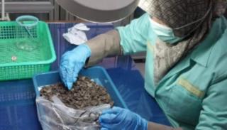 Lima Produk Turunan Sawit Dominasi Ekspor Sumbar