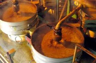 Kompak Turun Rp 15 Harga CPO Hasil Tender PT KPBN Periode 13 Juni 2024