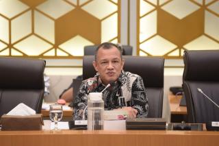 Tak Semua Negara Eropa Setuju EUDR, KLHK Diminta Gencar Diplomasi