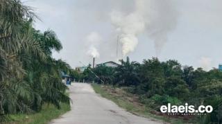 Gaduh Pabrik Kelapa Sawit