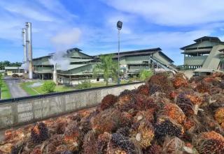 Friends of The Earth Tuding AAL Lakukan Sejumlah Pelanggaran