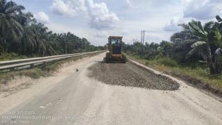 DBH Sawit Sangat Dibutuhkan untuk Perbaiki Kerusakan Infrastruktur