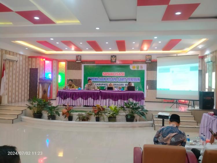 Persoalan Lama Kembali Diungkit Saat Sosialisasi Peremajaan Sawit