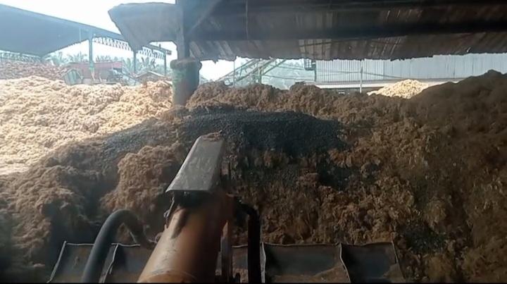 Sepekan Didominasi WD, Akhirnya Closing  Harga Palm Kernel Hasil Tender Astra Periode 4 Juli 2024