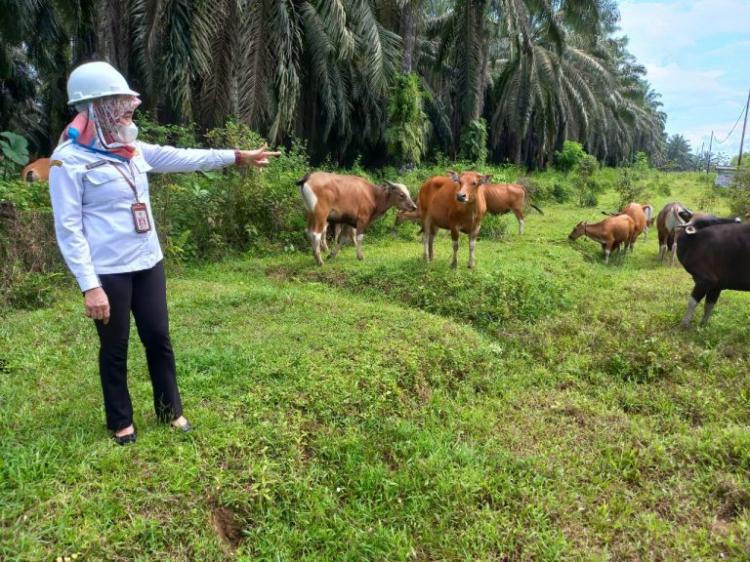 Perkara Nama Bikin Program SISKA KU INTIP Pemprov Kalsel Dikritik Keras DPR-RI