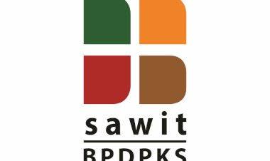 SPKS Nilai Rencana Pemerintah Tambah Tugas BPDPKS Harus Dibarengi Dengan Perubahan Regulasi